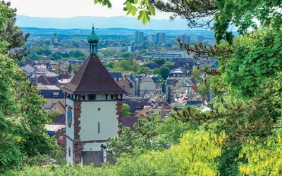 Yoga & Meditation for Teachers in Freiburg Black Forest